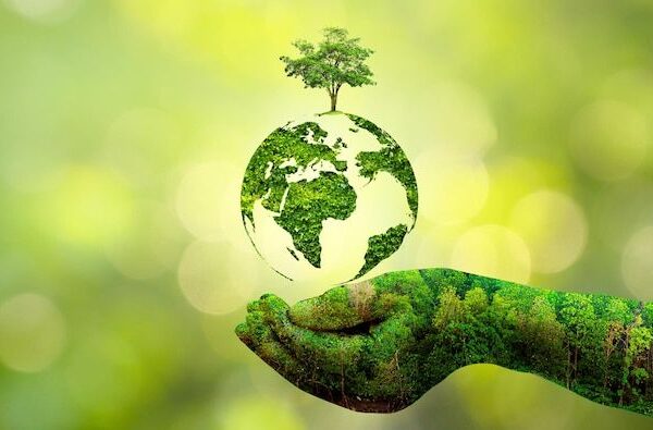 When is World Environment Day celebrated, Why is World Environment Day important?